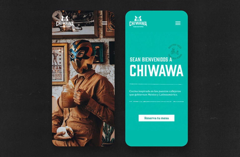 Web design and coding for Chiwawa